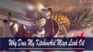 Why Does My KitchenAid Mixer Leak Oil | Kitchen Aiding
