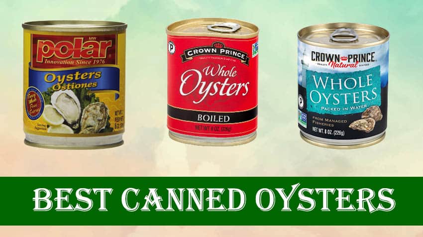 Best Canned Oysters Review