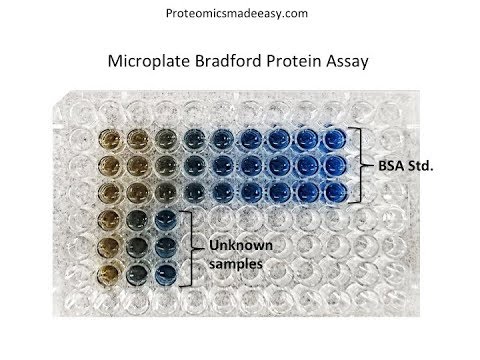 Bradford Reagent Recipe