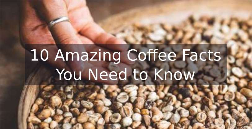 How Long Do Coffee Beans Last