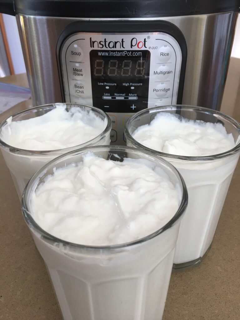 Best Instant Pot Greek Yogurt Recipe